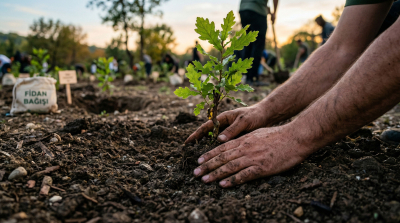 Fidan Bağışı